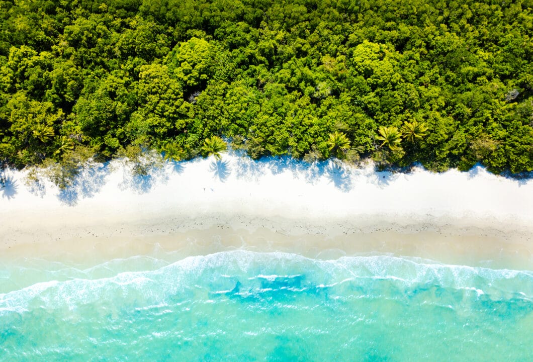 Cape Tribulation – Regenwald trifft auf Riff
