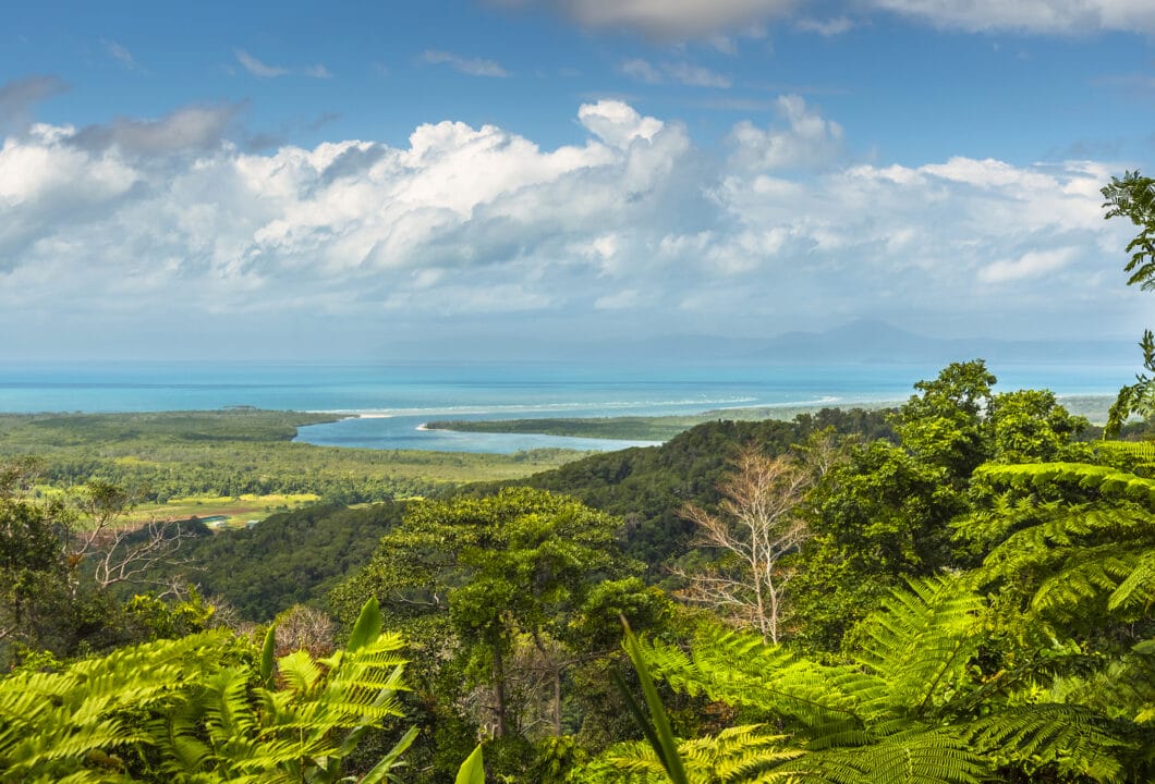 Daintree Nationalpark – Magischer Regenwald