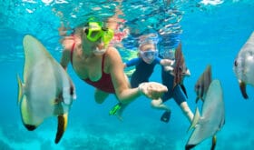 Happy family - mother, kids in snorkeling mask dive underwater, explore tropical fishes in coral reef sea pool. Travel active lifestyle, beach adventure, swimming activity on summer holiday with child