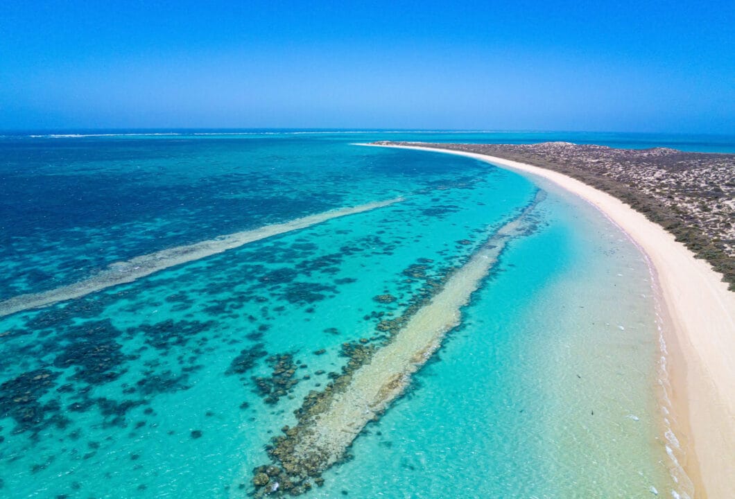 Ningaloo Reef – ein Juwel im Ozean