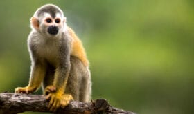 CheckIn:25.08.2016
Valid:31.03.2019
Changed:10.07.2018