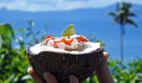 Fijian Food, Kokoda (Raw Fish Salad) against Tropical Island landscape. Kokoda is Fiji's version of Ceviche seafood dish, enriched with coconut milk to balance out all the acid. No people. Copy Space.
