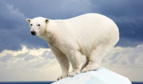 CheckIn:23.09.2016
Valid:31.03.2018
Changed:23.09.2016