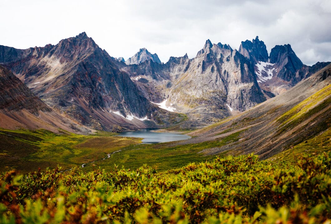  Tombstone Mountains – raue Einsamkeit