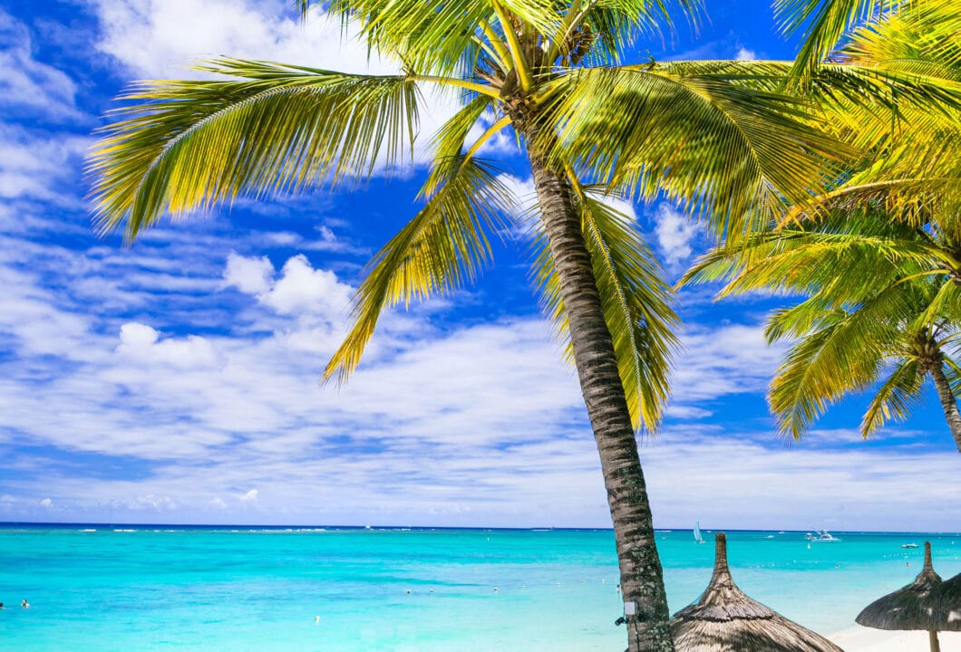 Chamarel – Siebenfarbige Erde & Wasserfall