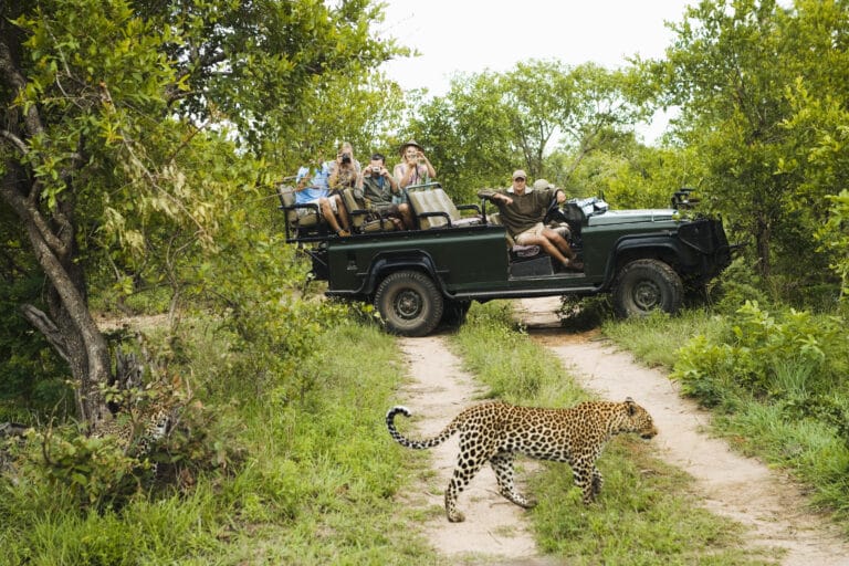 Kapstadt, Garden Route & Safarierlebnisse für Entdecker
