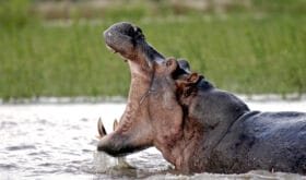 CheckIn:09.08.2016
Valid:31.12.2017
Changed:09.08.2016