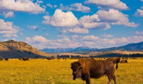 CheckIn:09.08.2017
Valid:31.10.2019
Changed:25.09.2018
4710008-1616694