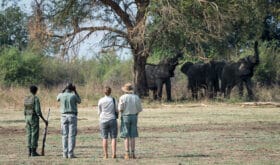 Gruppenreisen in Botswana