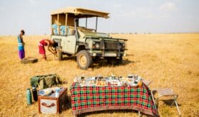 Luxury safari bush breakfast in Kenya Africa