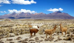 CheckIn:08.09.2016
Valid:31.12.2017
Changed:08.09.2016