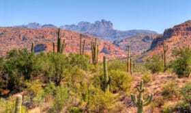 CheckIn:04.07.2017
Valid:31.03.2019
Changed:04.07.2017